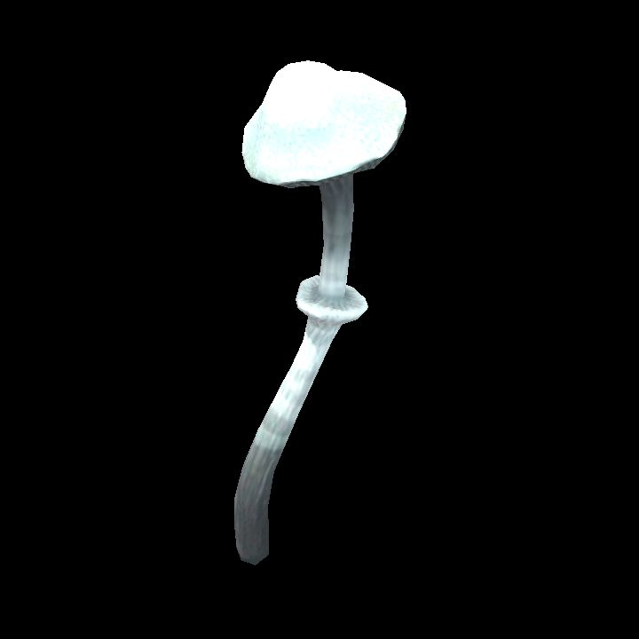 Mushroom_29