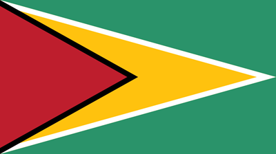 The flag of Guyana