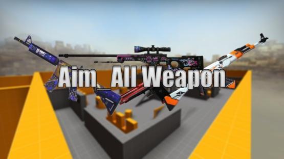 1v1_All_Weapons CS2 PORT