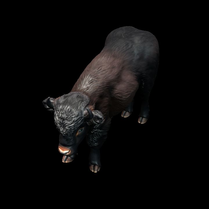 Baby Bison