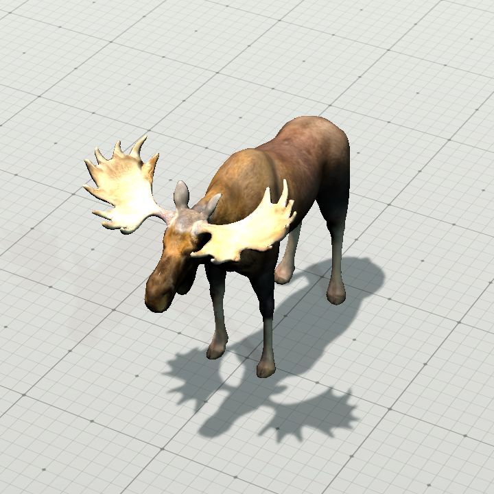 Moose