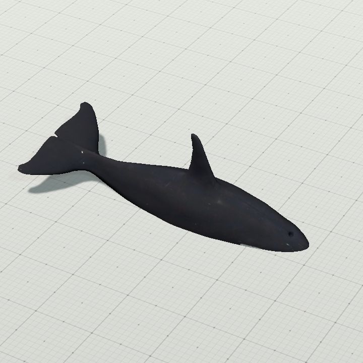 Orca (Killer Whale)