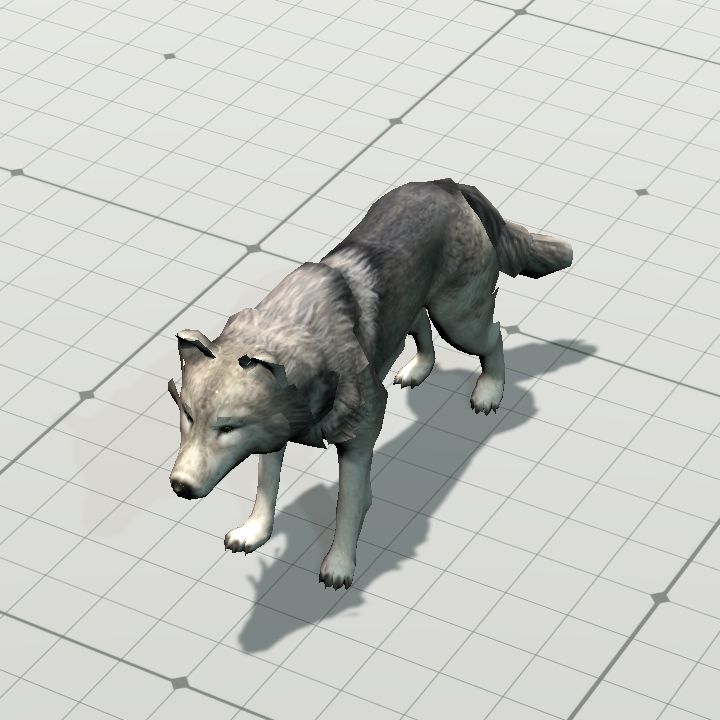 Wolf