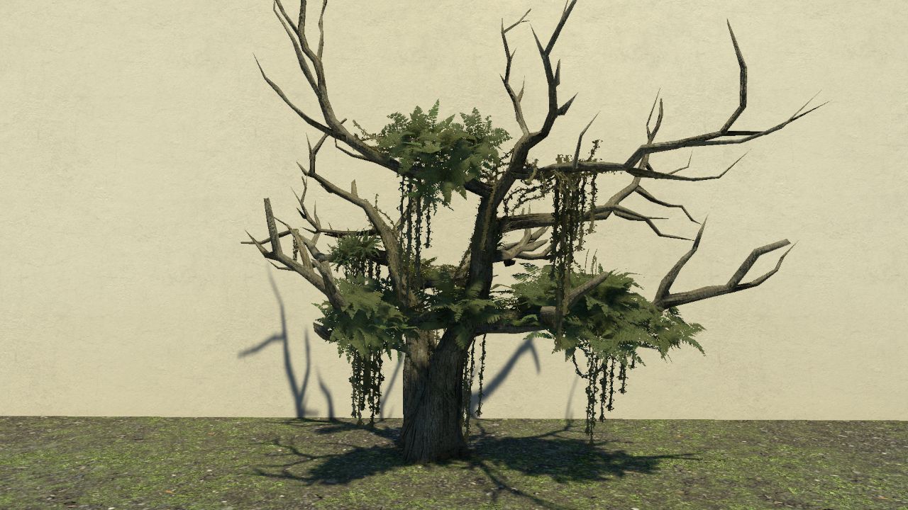 Gnarly Tree with Ferns and Vines