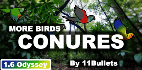 More Birds - Conures