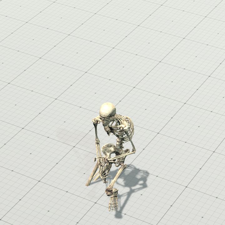 Skeleton Stand