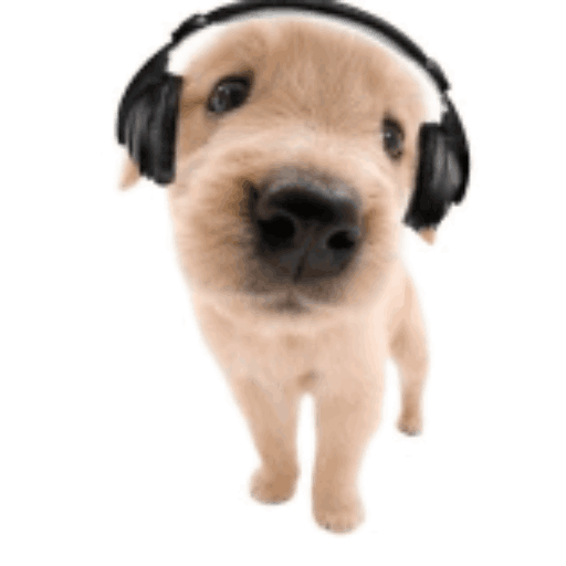 Headphones Dog Toolgun Screen