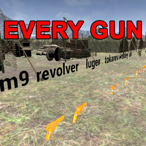 EveryGun