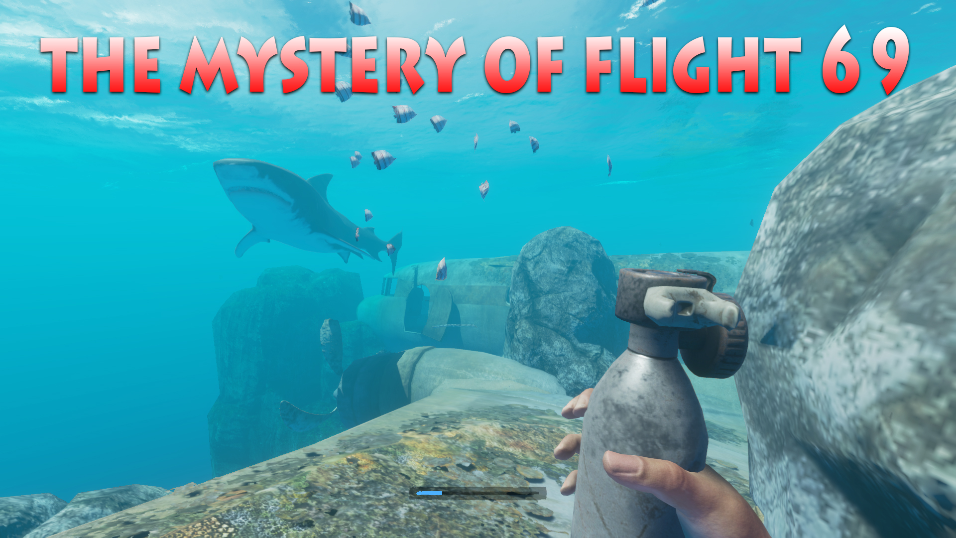 The mystery of flight 69