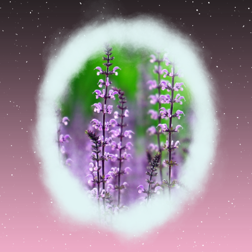 RoDy.cOde - Lilac