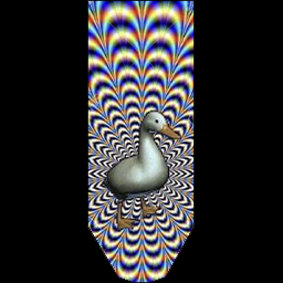 Goose of optical illusion Banner