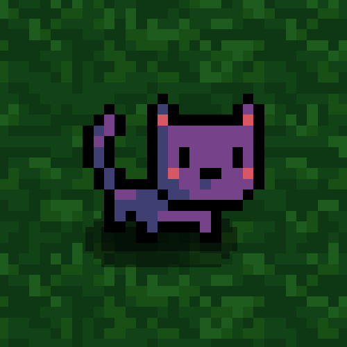 Kubbi Cat