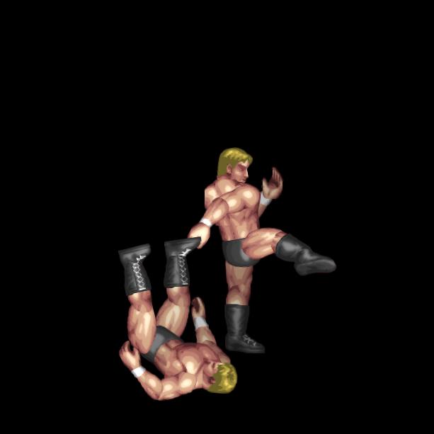 胸板ミドルキック(カウンタ)/Middle Kick To Chest(Counter)