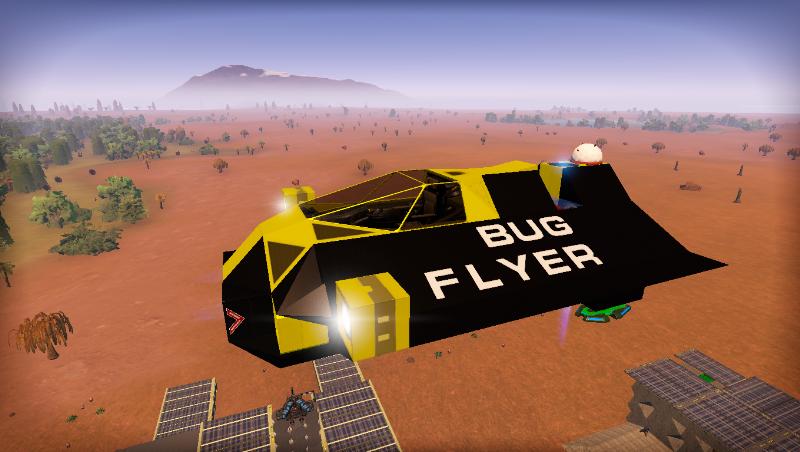 Bug Flyer