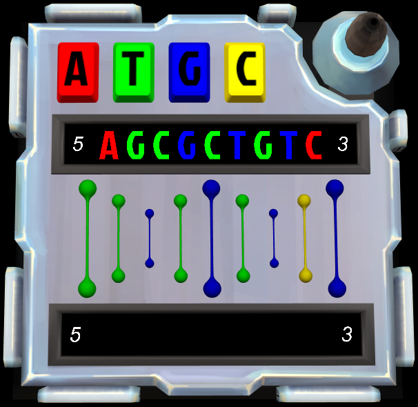 DNA Mutation