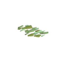 Vines - floor