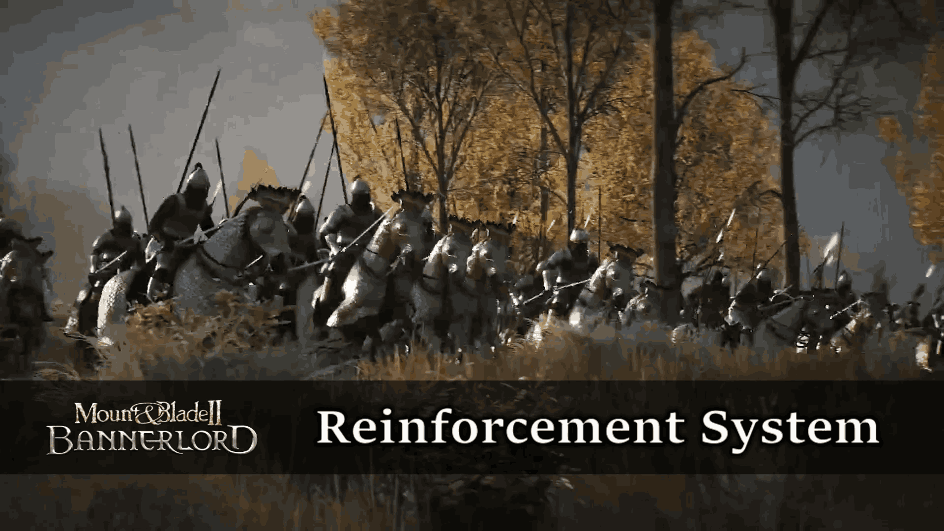 Reinforcement System