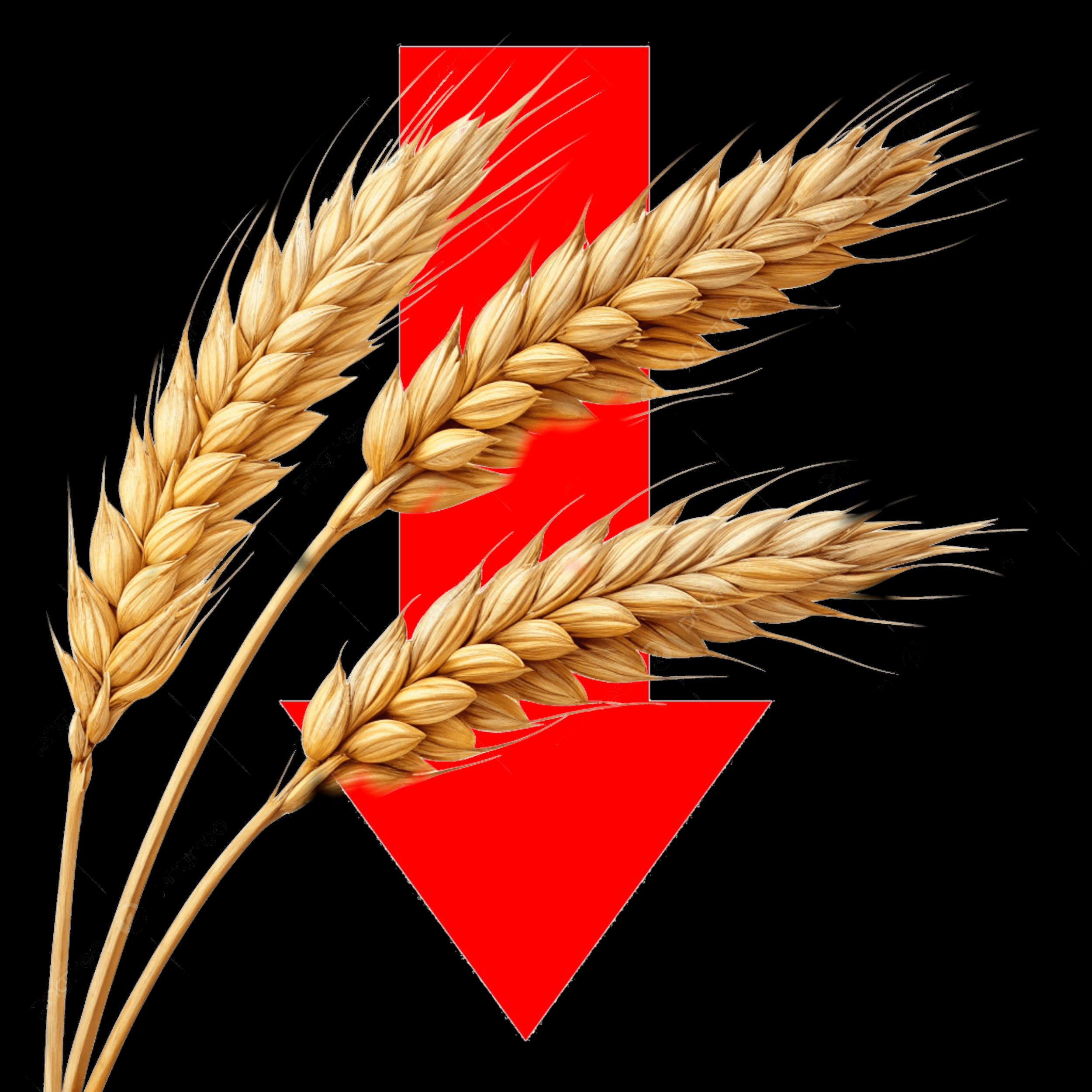 Less Supply preview