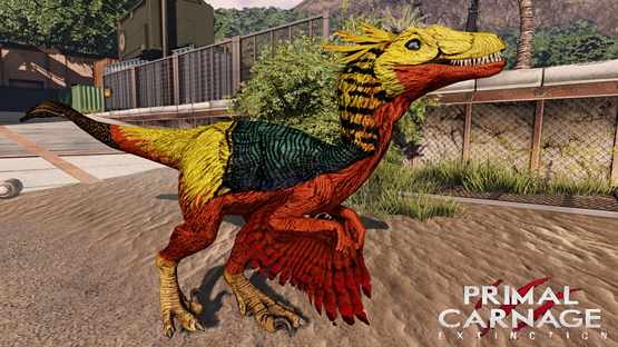 Male Golden Pheasant Novaraptor