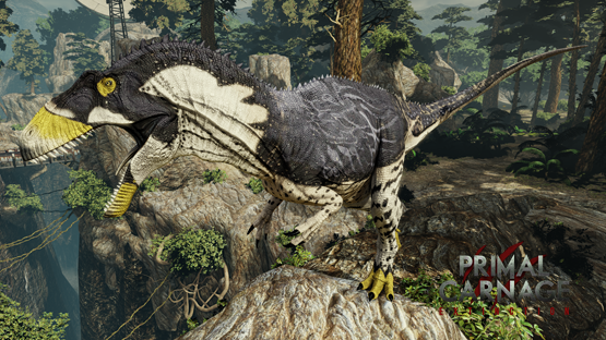 Peregrine Falcon Acro