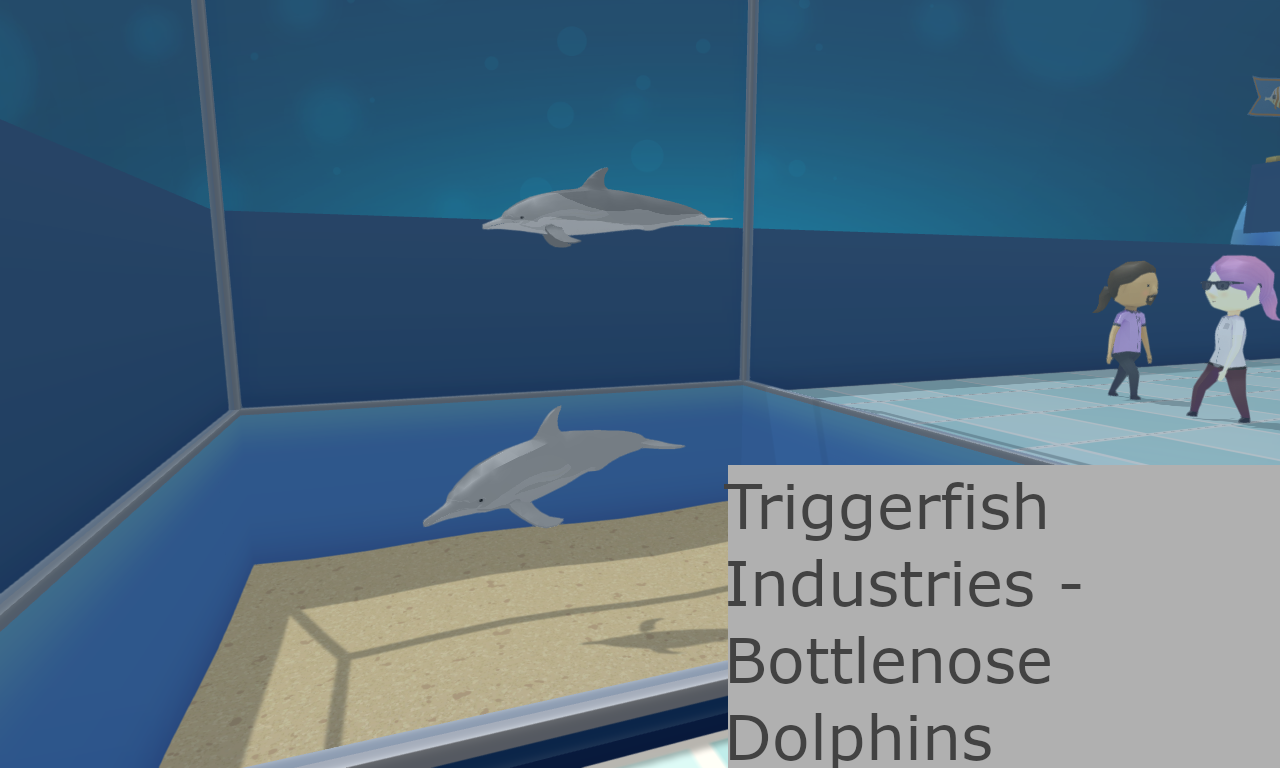 Triggerfish Industries - Bottlenose Dolphins