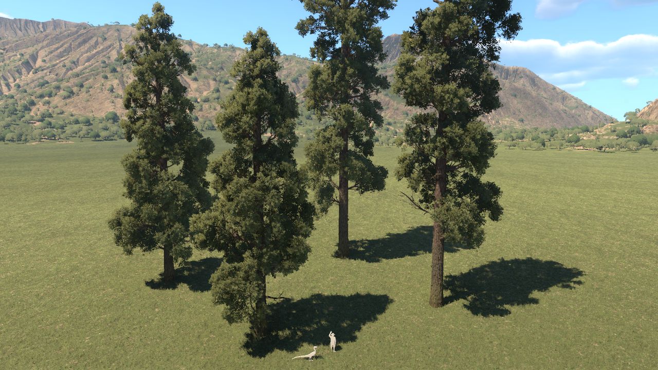 Agathoxylon
