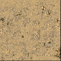 Great Barren Desert