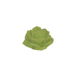 Head of Lettuce - Vegetable - Food