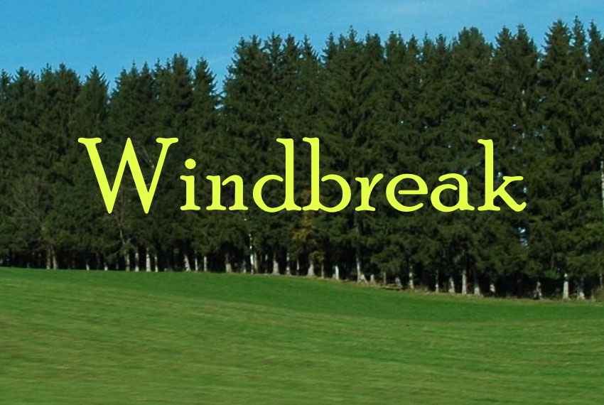 Windbreak