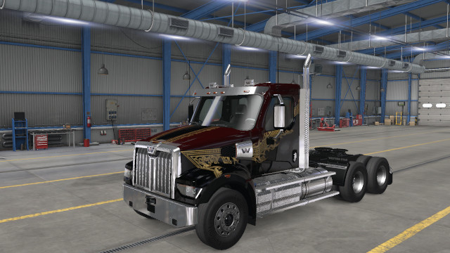 WS49X GPW Metallic Line Skin