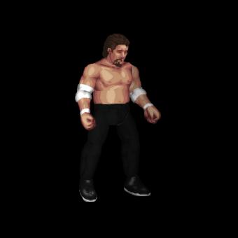 Vinnie Vegas