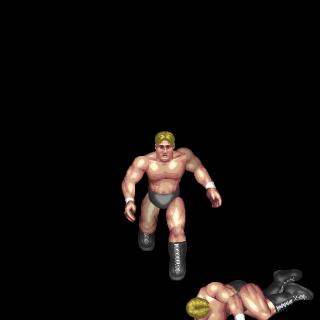 Triangle Moonsault