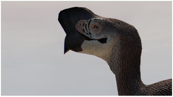 Eurasian Jay [ winter 2021 ]