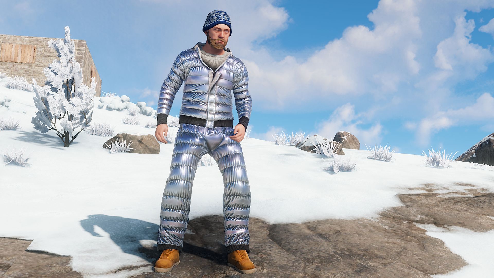 Winter Hoodie