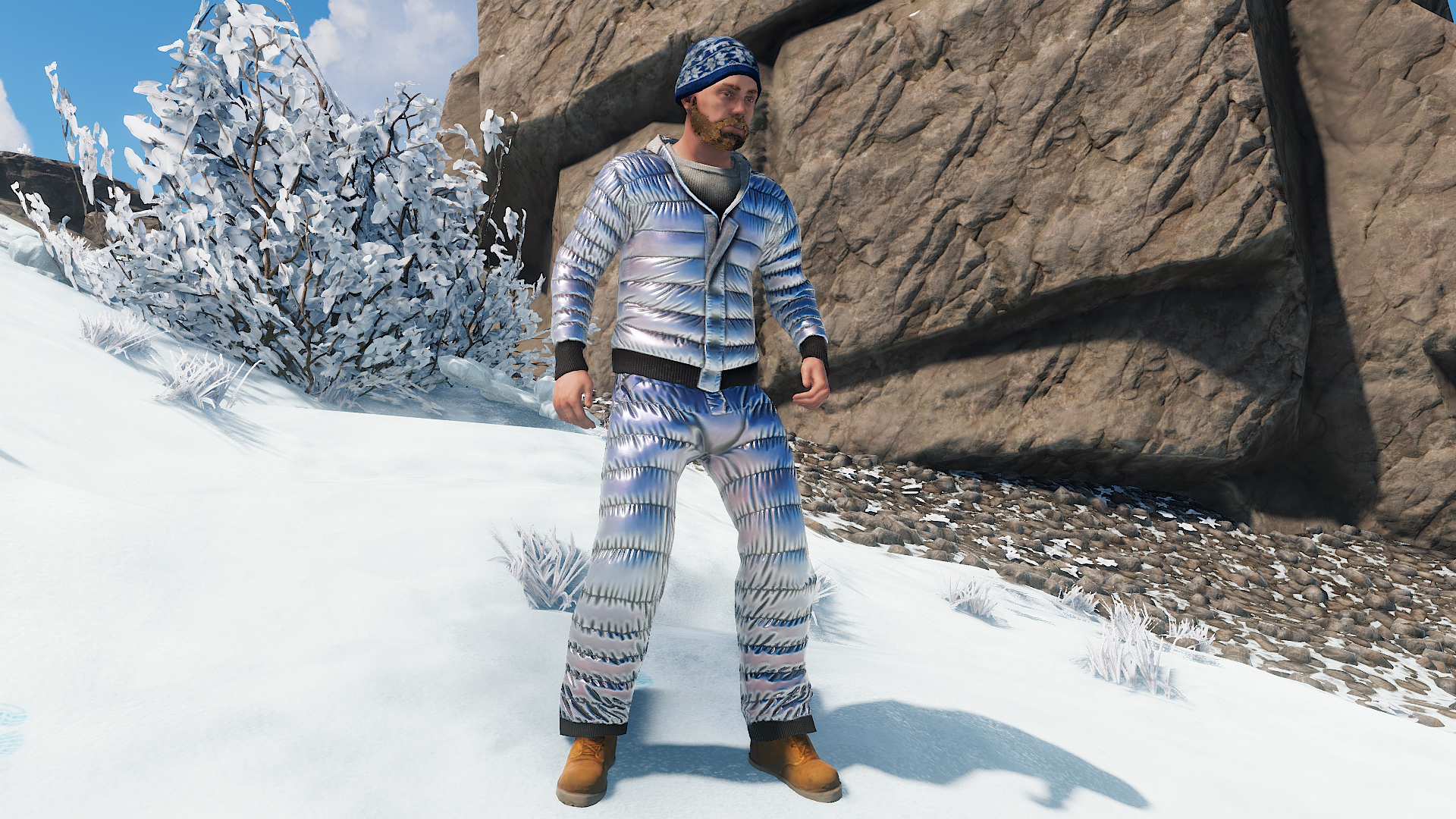 Winter Hoodie
