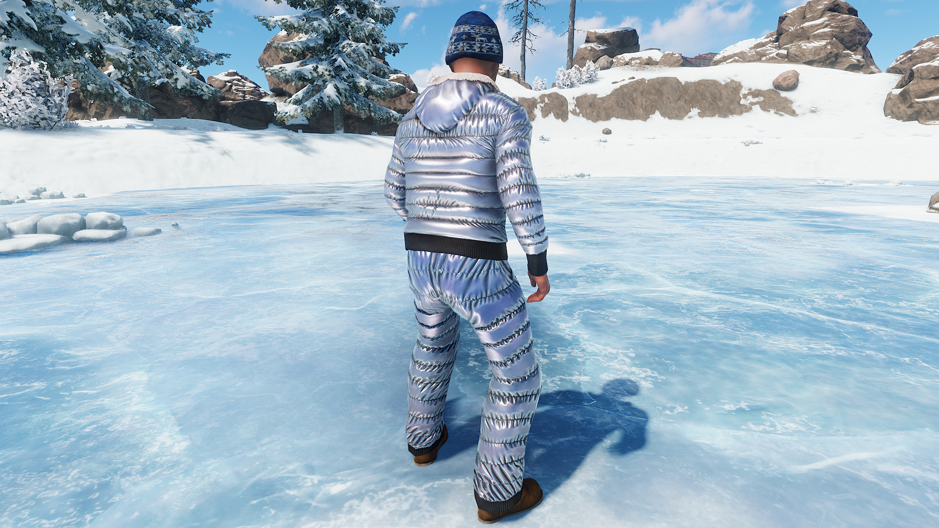 Winter Hoodie