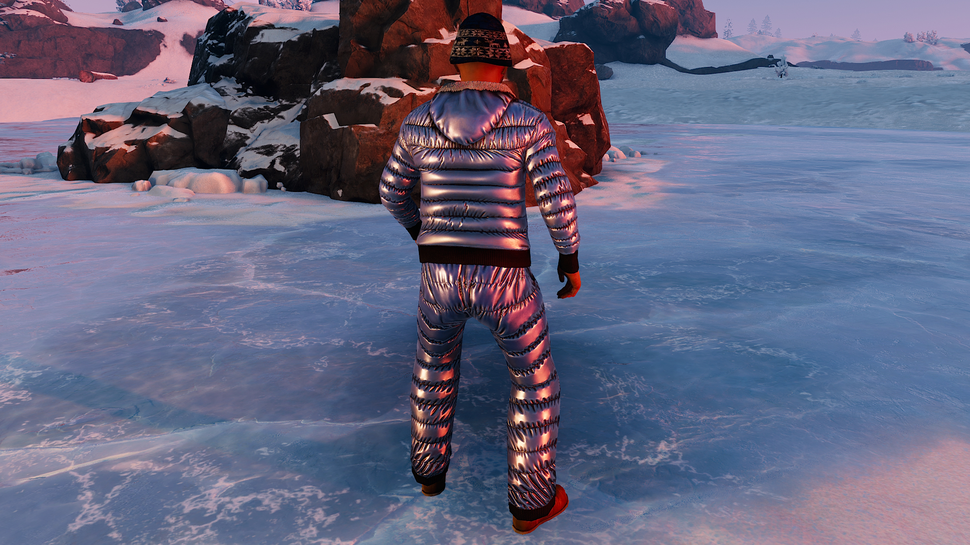 Winter Hoodie