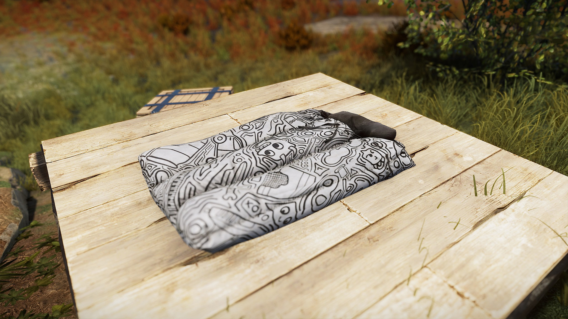 Doodle Sleeping Bag