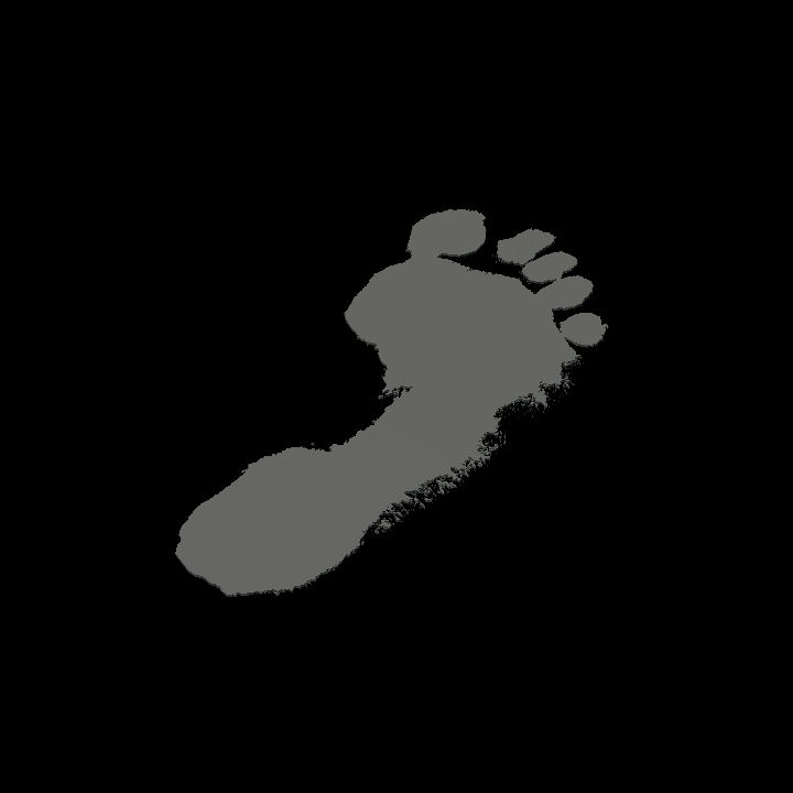 Colourable footprints R
