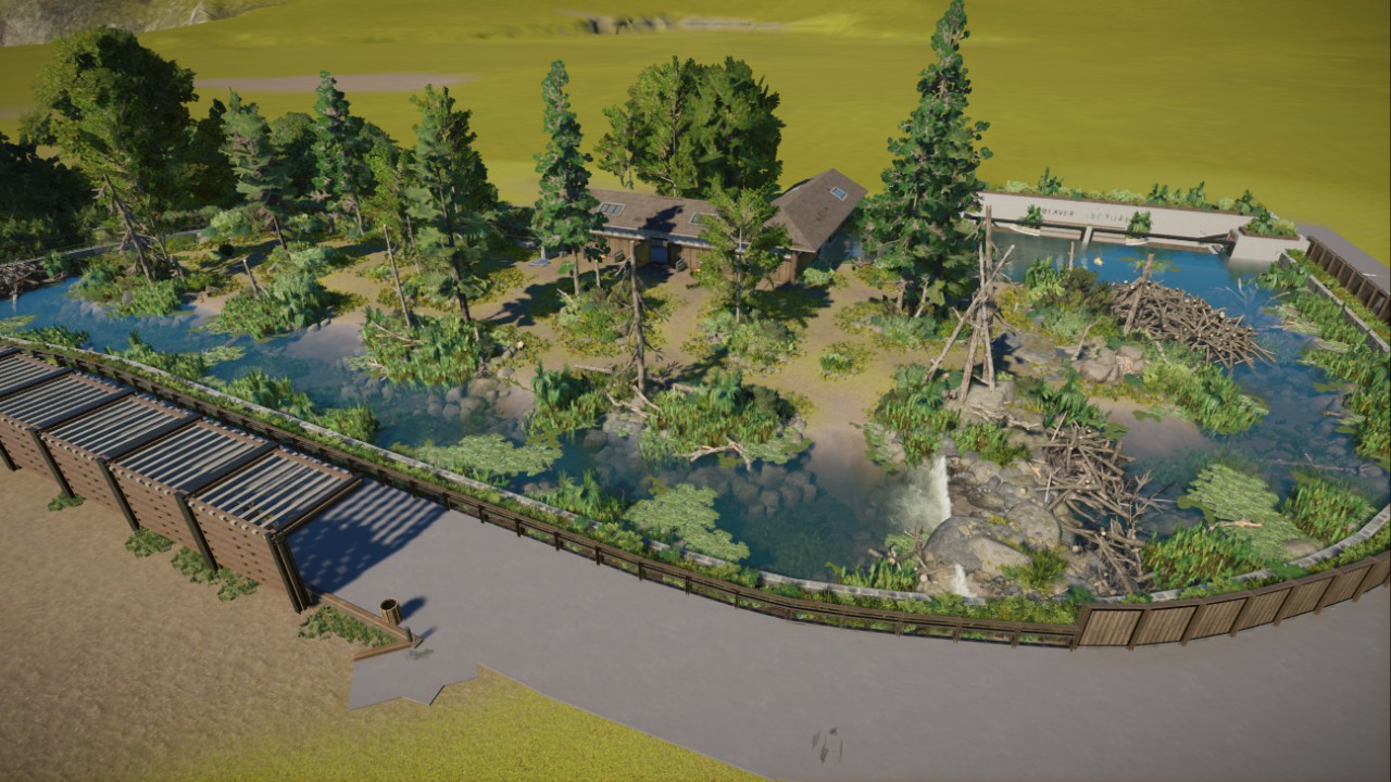 Beaver habitat