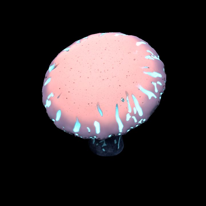 Mushroom_Middle_5_4