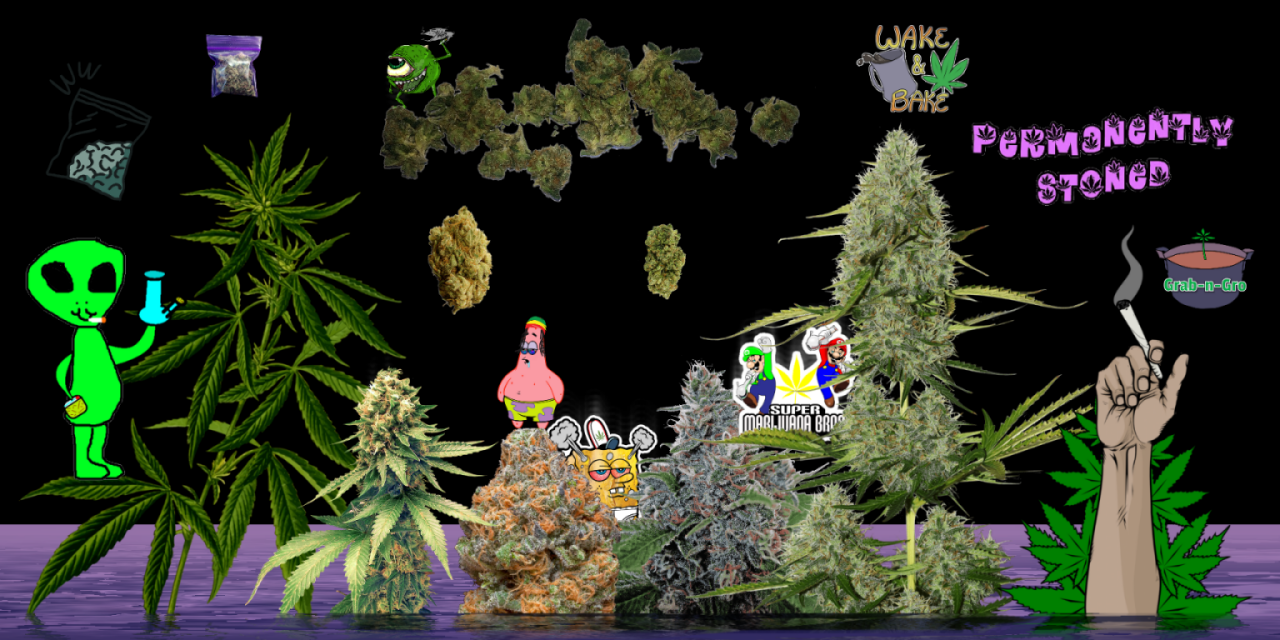I Really Dont Like Weed