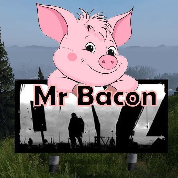 Mr Bacon Namalsk Loading Screen