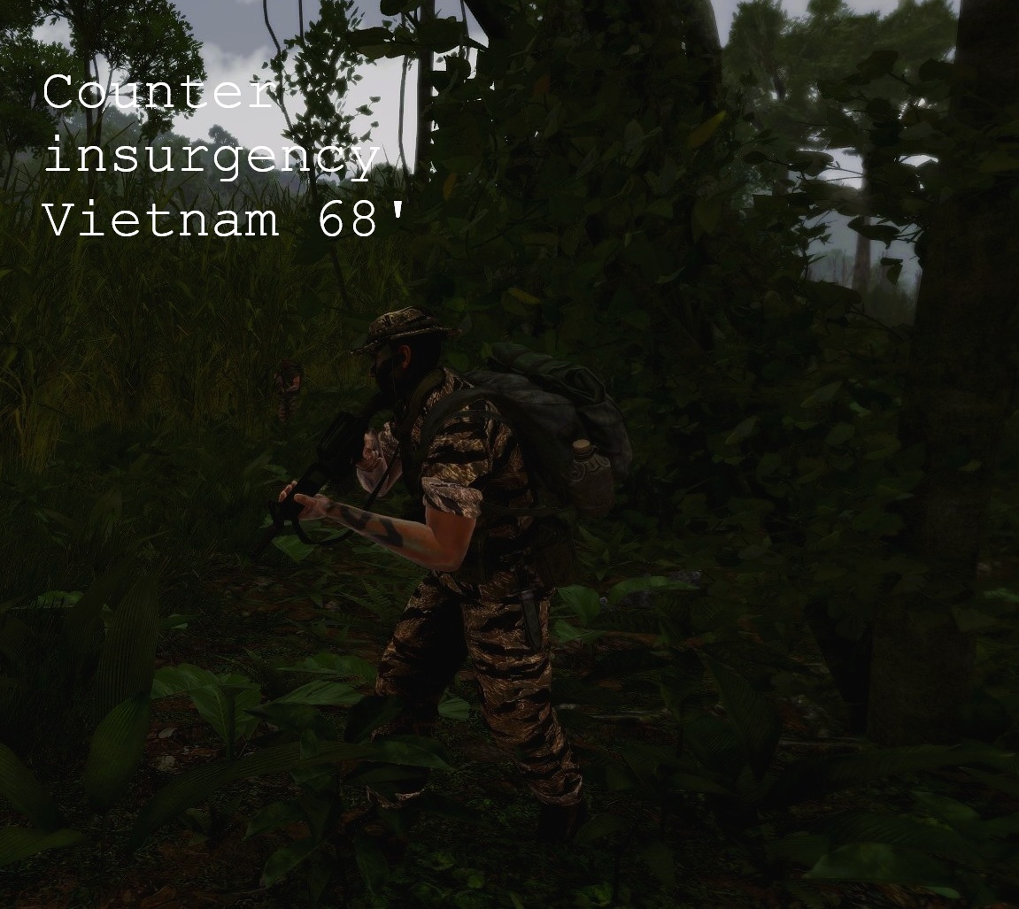Counter Insurgency-South vietnam