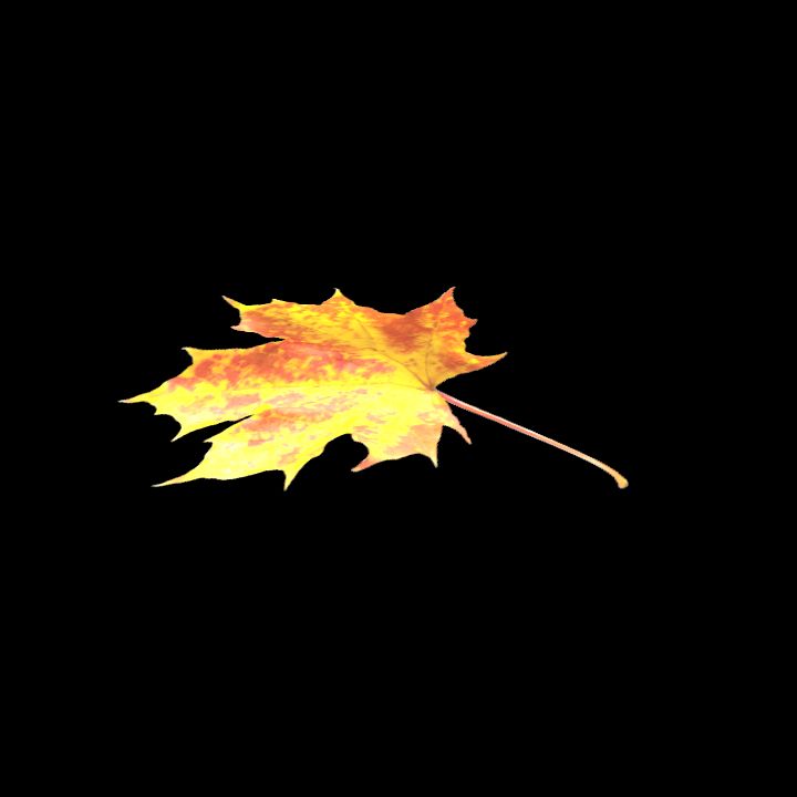 Nature, Leaf, Fall 5