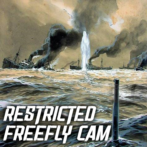 Restricted freefly camera
