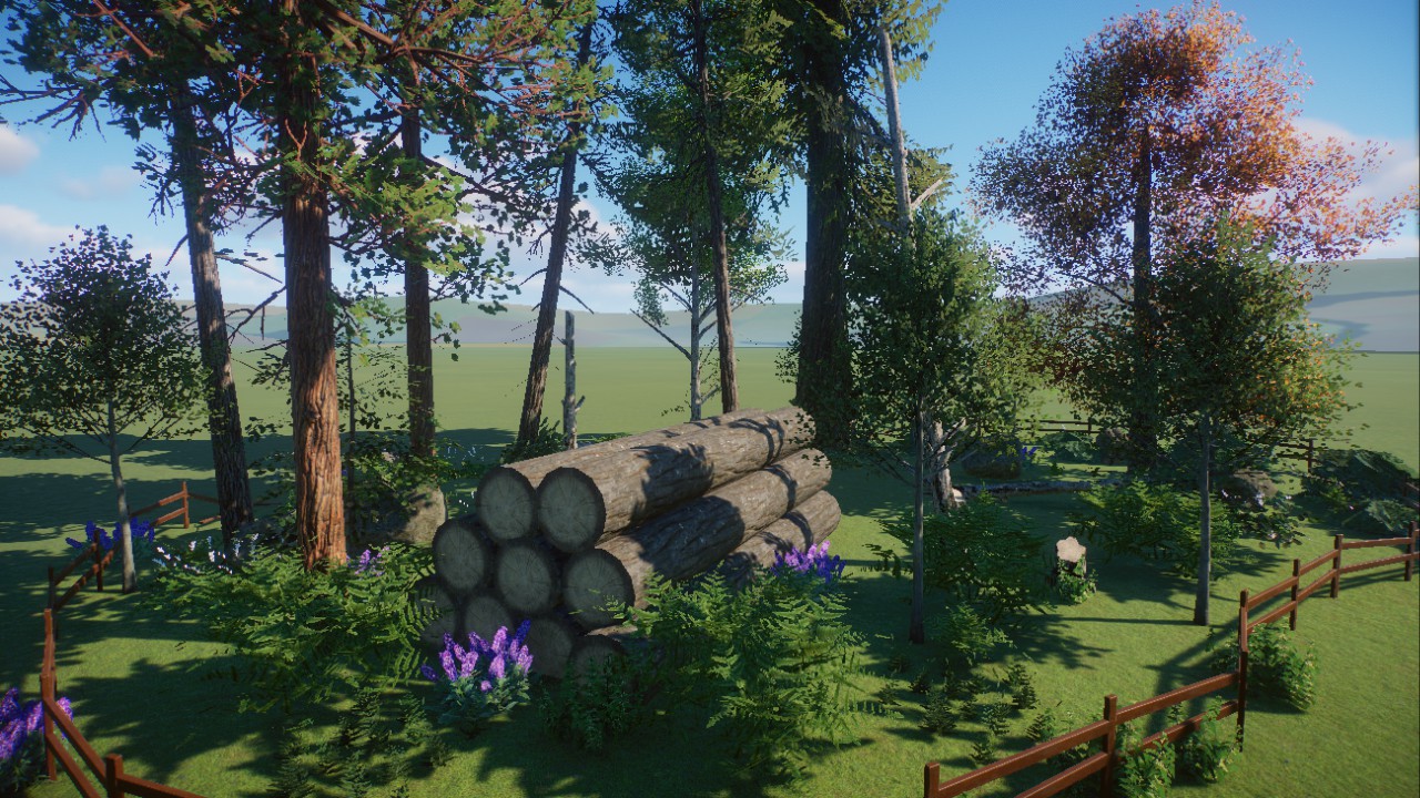 Forest Scenery
