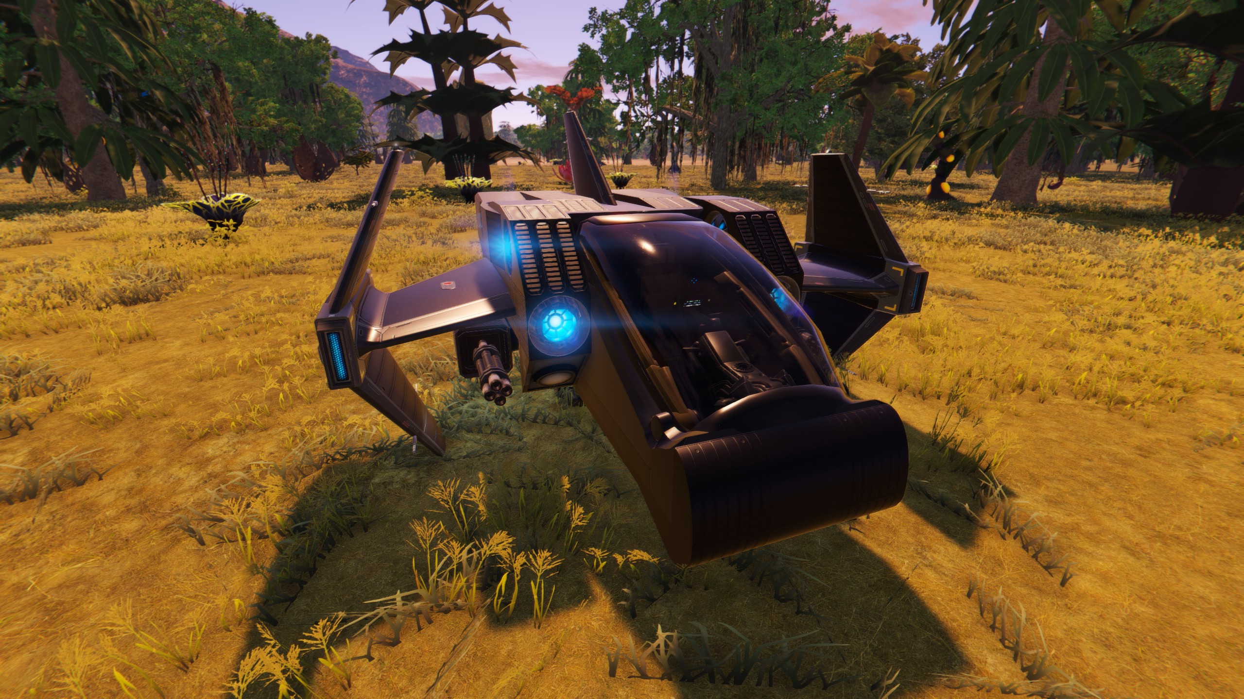 Barbastelle A Small Starter Ship