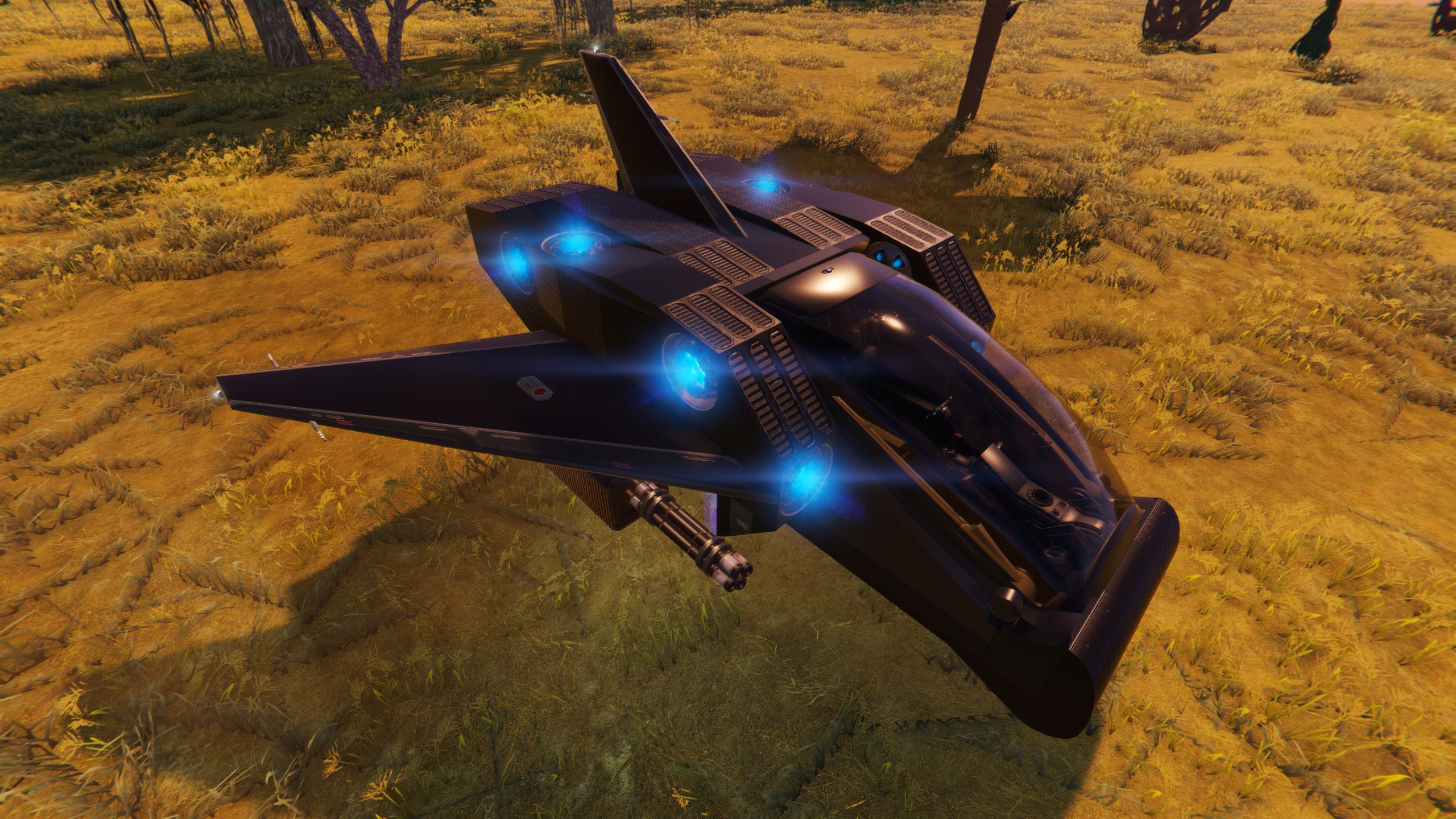 Barbastelle D Small Starter Ship