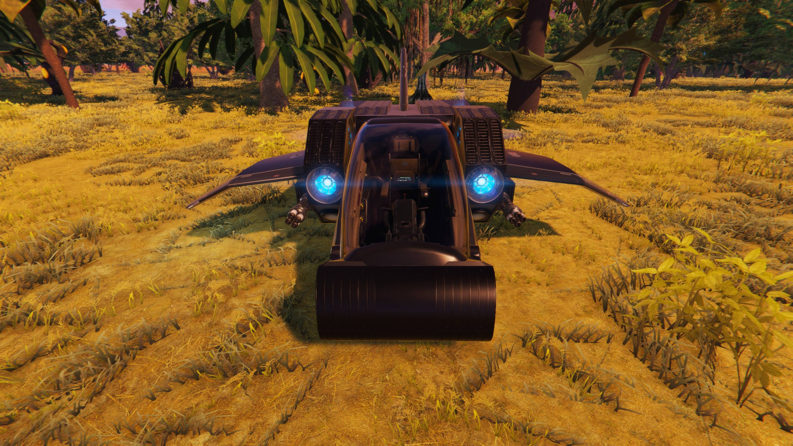 Barbastelle B Small Starter Ship